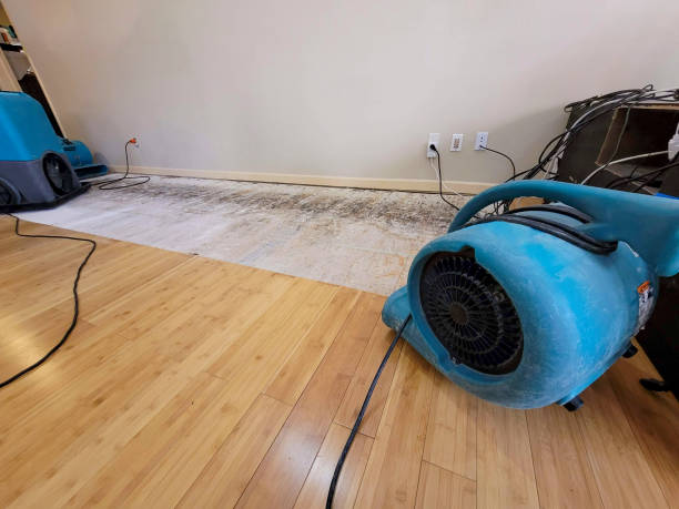 Professional Structural Drying technician working in Bishop, GA